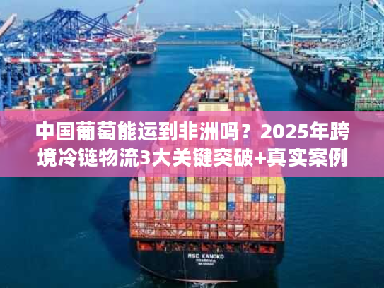 中国葡萄能运到非洲吗？2025年跨境冷链物流3大关键突破+真实案例拆解