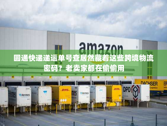 圆通快递递运单号查居然藏着这些跨境物流密码？老卖家都在偷偷用