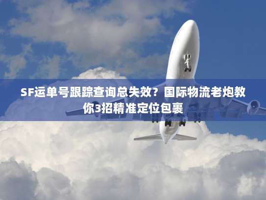 SF运单号跟踪查询总失效？国际物流老炮教你3招精准定位包裹
