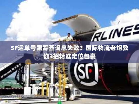 SF运单号跟踪查询总失效？国际物流老炮教你3招精准定位包裹