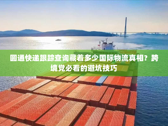圆通快递跟踪查询藏着多少国际物流真相？跨境党必看的避坑技巧