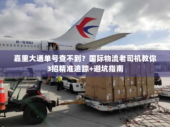 嘉里大通单号查不到？国际物流老司机教你3招精准追踪+避坑指南