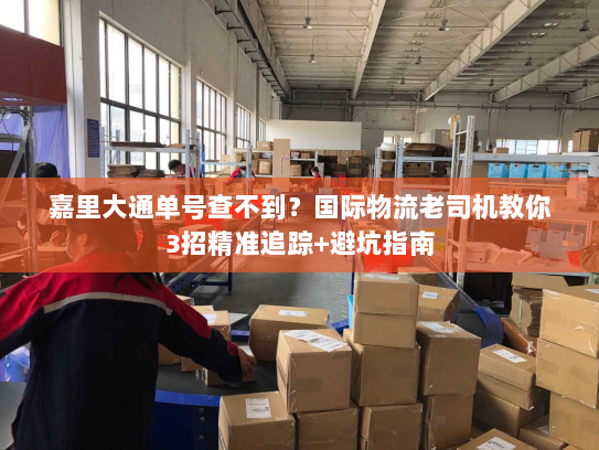 嘉里大通单号查不到？国际物流老司机教你3招精准追踪+避坑指南
