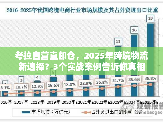 考拉自营直邮仓，2025年跨境物流新选择？3个实战案例告诉你真相
