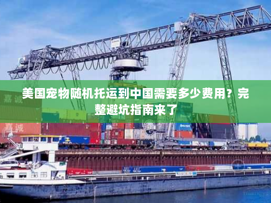 美国宠物随机托运到中国需要多少费用?完整避坑指南来了 美国宠物随机托运到中国需要多少费用?完整避坑指南来了