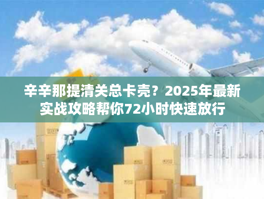 辛辛那提清关总卡壳？2025年最新实战攻略帮你72小时快速放行
