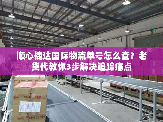 顺心捷达国际物流单号怎么查？老货代教你3步解决追踪痛点