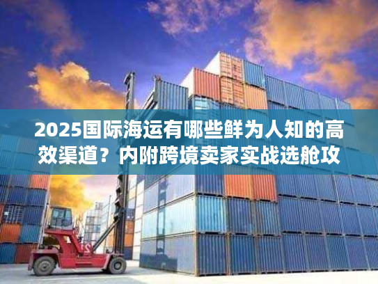 2025国际海运有哪些鲜为人知的高效渠道?内附跨境卖家实战选舱攻略 2025国际海运有哪些鲜为人知的高效渠道?内附跨境卖家实战选舱攻略