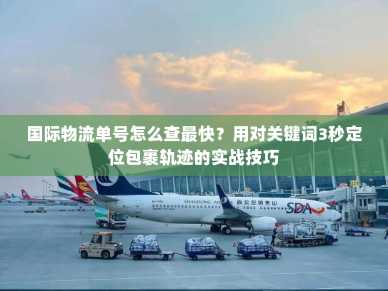 国际物流单号怎么查最快？用对关键词3秒定位包裹轨迹的实战技巧