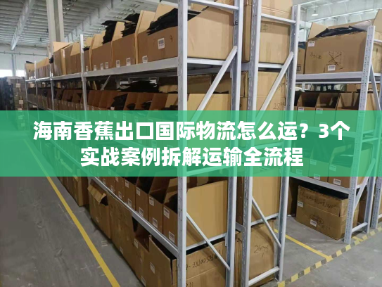 海南香蕉出口国际物流怎么运？3个实战案例拆解运输全流程