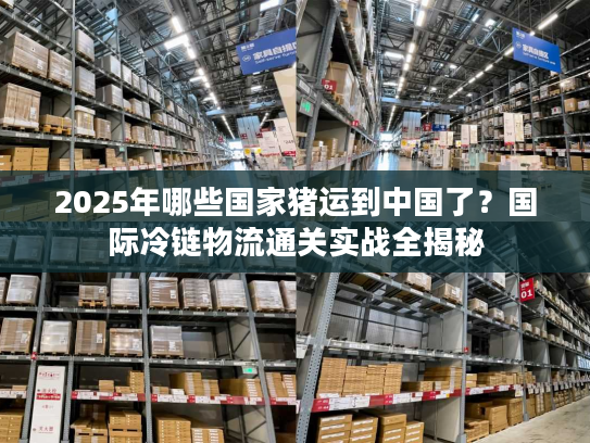 2025年哪些国家猪运到中国了？国际冷链物流通关实战全揭秘