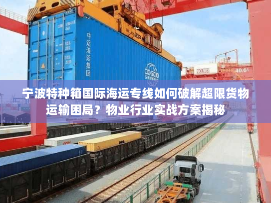 宁波特种箱国际海运专线如何破解超限货物运输困局？物业行业实战方案揭秘