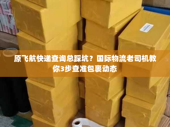 原飞航快递查询总踩坑？国际物流老司机教你3步查准包裹动态