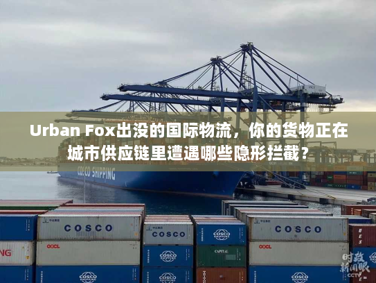 Urban Fox出没的国际物流,你的货物正在城市供应链里遭遇哪些隐形拦截? Urban Fox出没的国际物流,你的货物正在城市供应链里遭遇哪些隐形拦截?