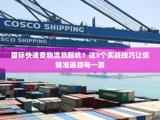 国际快递查物流总踩坑?这3个实战技巧让你精准追踪每一票 国际快递查物流总踩坑?这3个实战技巧让你精准追踪每一票