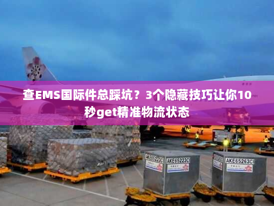 查EMS国际件总踩坑？3个隐藏技巧让你10秒get精准物流状态