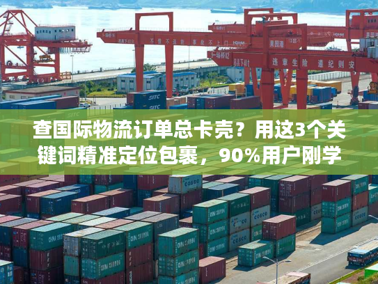查国际物流订单总卡壳？用这3个关键词精准定位包裹，90%用户刚学会