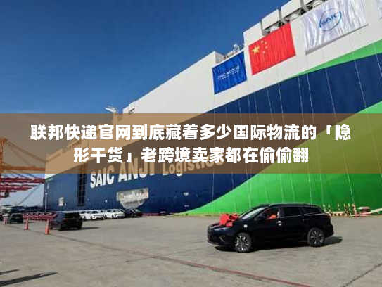 联邦快递官网到底藏着多少国际物流的「隐形干货」老跨境卖家都在偷偷翻