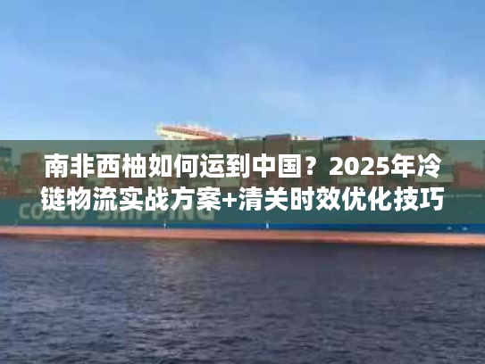 南非西柚如何运到中国?2025年冷链物流实战方案+清关时效优化技巧 南非西柚如何运到中国?2025年冷链物流实战方案+清关时效优化技巧