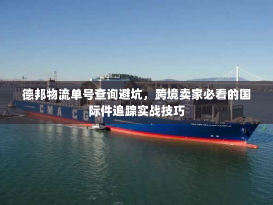 德邦物流单号查询避坑，跨境卖家必看的国际件追踪实战技巧