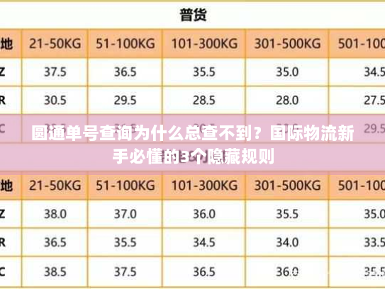 圆通单号查询为什么总查不到？国际物流新手必懂的3个隐藏规则