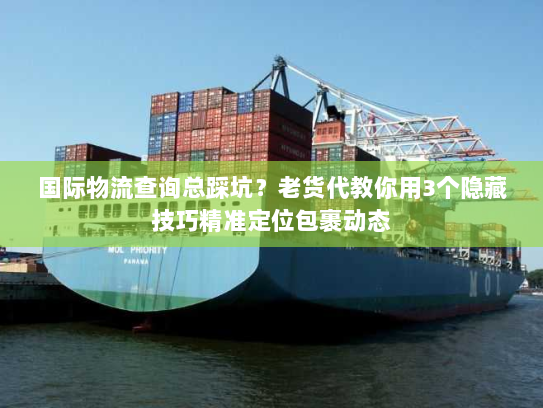 国际物流查询总踩坑?老货代教你用3个隐藏技巧精准定位包裹动态 国际物流查询总踩坑?老货代教你用3个隐藏技巧精准定位包裹动态