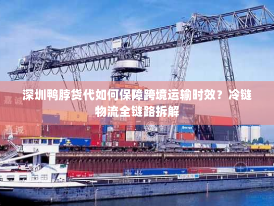 深圳鸭脖货代如何保障跨境运输时效?冷链物流全链路拆解 深圳鸭脖货代如何保障跨境运输时效?冷链物流全链路拆解