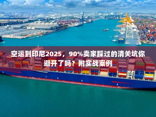 空运到印尼2025，90%卖家踩过的清关坑你避开了吗？附实战案例