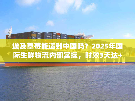 埃及草莓能运到中国吗？2025年国际生鲜物流内部实操，时效3天达+清关0延误秘诀