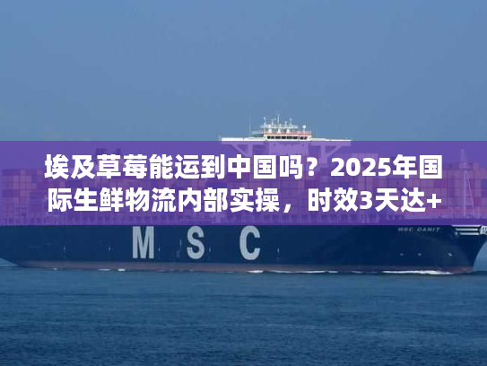 埃及草莓能运到中国吗？2025年国际生鲜物流内部实操，时效3天达+清关0延误秘诀