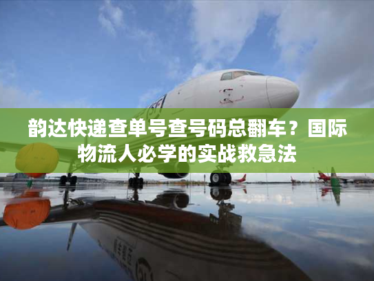 韵达快递查单号查号码总翻车?国际物流人必学的实战救急法 韵达快递查单号查号码总翻车?国际物流人必学的实战救急法