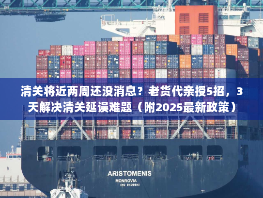 清关将近两周还没消息？老货代亲授5招，3天解决清关延误难题（附2025最新政策）