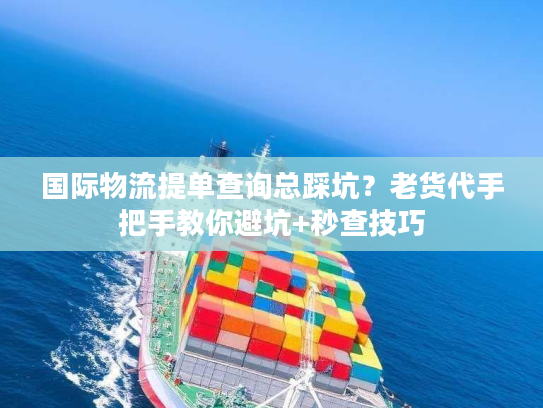 国际物流提单查询总踩坑？老货代手把手教你避坑+秒查技巧