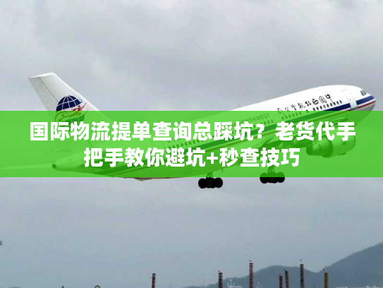 国际物流提单查询总踩坑？老货代手把手教你避坑+秒查技巧