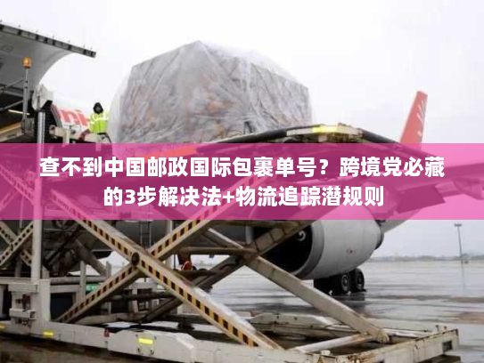 查不到中国邮政国际包裹单号？跨境党必藏的3步解决法+物流追踪潜规则