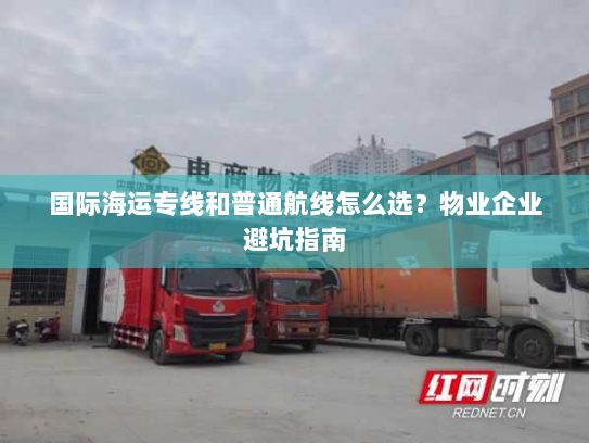 国际海运专线和普通航线怎么选？物业企业避坑指南