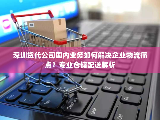 深圳货代公司国内业务如何解决企业物流痛点?专业仓储配送解析 深圳货代公司国内业务如何解决企业物流痛点?专业仓储配送解析