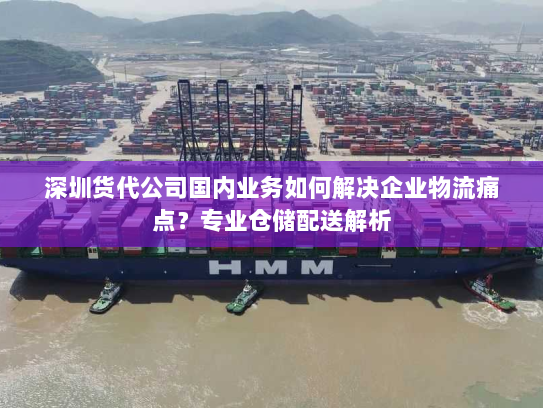 深圳货代公司国内业务如何解决企业物流痛点?专业仓储配送解析 深圳货代公司国内业务如何解决企业物流痛点?专业仓储配送解析