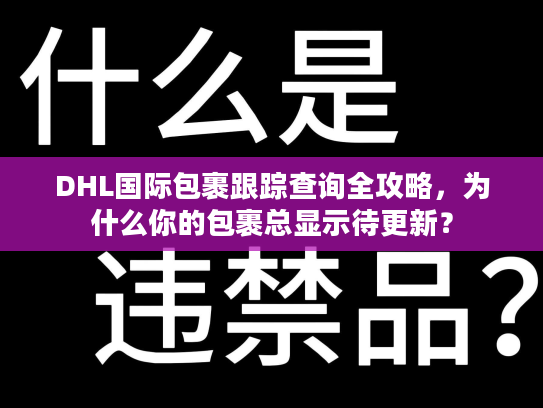 DHL国际包裹跟踪查询全攻略，为什么你的包裹总显示待更新？