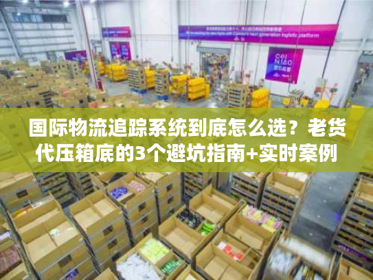 国际物流追踪系统到底怎么选？老货代压箱底的3个避坑指南+实时案例