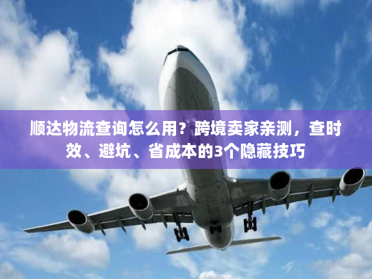 顺达物流查询怎么用？跨境卖家亲测，查时效、避坑、省成本的3个隐藏技巧