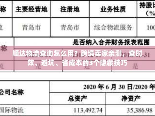 顺达物流查询怎么用？跨境卖家亲测，查时效、避坑、省成本的3个隐藏技巧