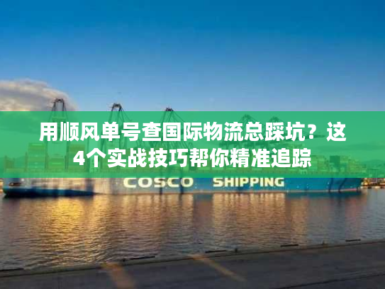 用顺风单号查国际物流总踩坑？这4个实战技巧帮你精准追踪