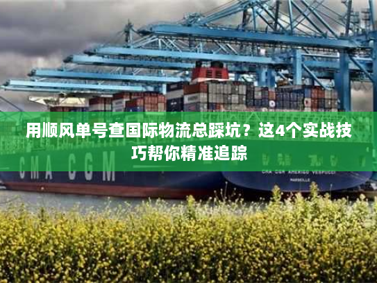 用顺风单号查国际物流总踩坑？这4个实战技巧帮你精准追踪