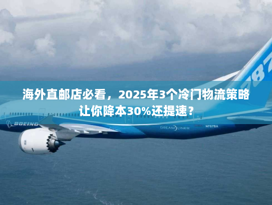 海外直邮店必看，2025年3个冷门物流策略让你降本30%还提速？