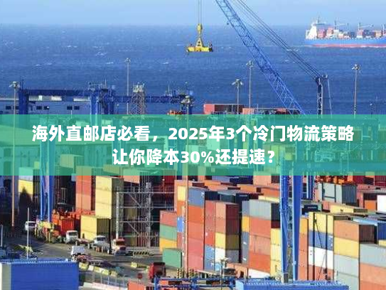 海外直邮店必看，2025年3个冷门物流策略让你降本30%还提速？