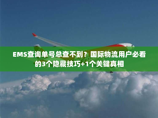 EMS查询单号总查不到？国际物流用户必看的3个隐藏技巧+1个关键真相
