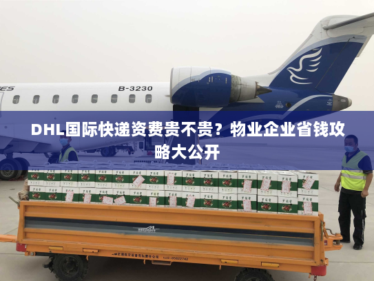 DHL国际快递资费贵不贵?物业企业省钱攻略大公开 DHL国际快递资费贵不贵?物业企业省钱攻略大公开