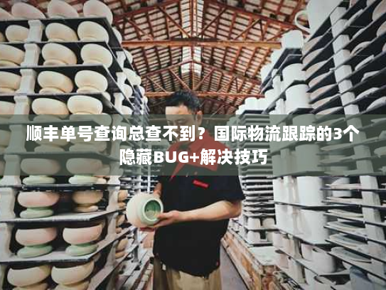 顺丰单号查询总查不到?国际物流跟踪的3个隐藏BUG+解决技巧 顺丰单号查询总查不到?国际物流跟踪的3个隐藏BUG+解决技巧