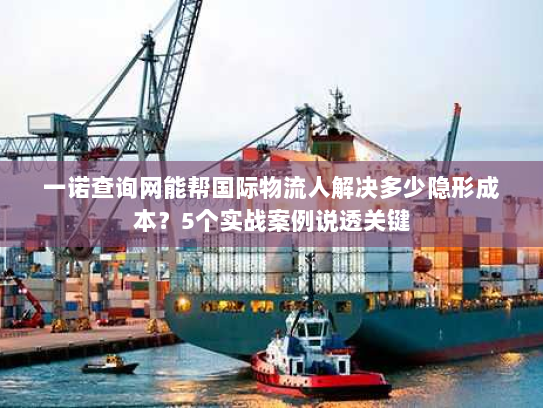 一诺查询网能帮国际物流人解决多少隐形成本？5个实战案例说透关键